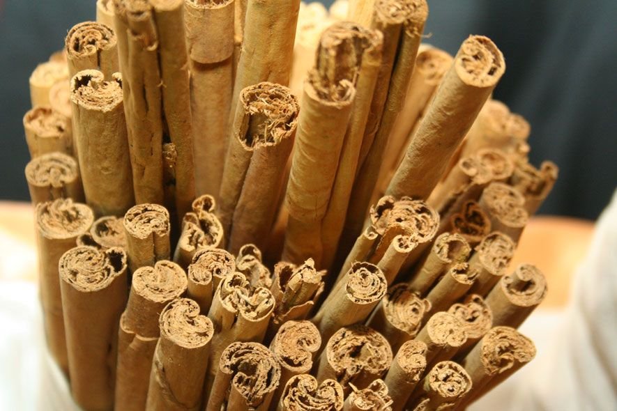 Ceylon Cinnamon